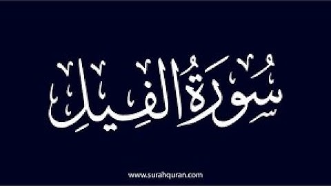 سورة الفيل كامله تلاوة هادئة تريح💚 الاعصاب💚بصوت عبد الرحمن السديس _The Elephant