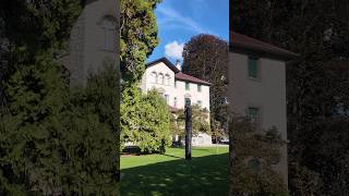 Charming Horgen on Lake Zurich 🇨🇭