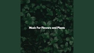 Simplistic Moods for Chill Work Days