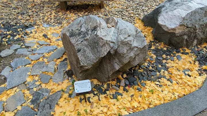 APPALACHIAN STATE 1.3 BILLION YEAR OLD ROCK WALK  ...