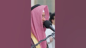 {إن الأبرار يشربون من كأس كان مزاجها كافورا} | رواية ورش عن نافع | القارئ:أحمد النفيس #عبق #التلاوات