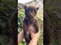 Добрий ранок усім.