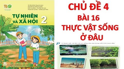 TỰ NHIÊN XÃ HỘI LỚP 2. CHỦ ĐỀ 4. BÀI 16: THỰC VẬT SỐNG Ở ĐÂU .SÁCH KẾT NỐI TRI THỨC.