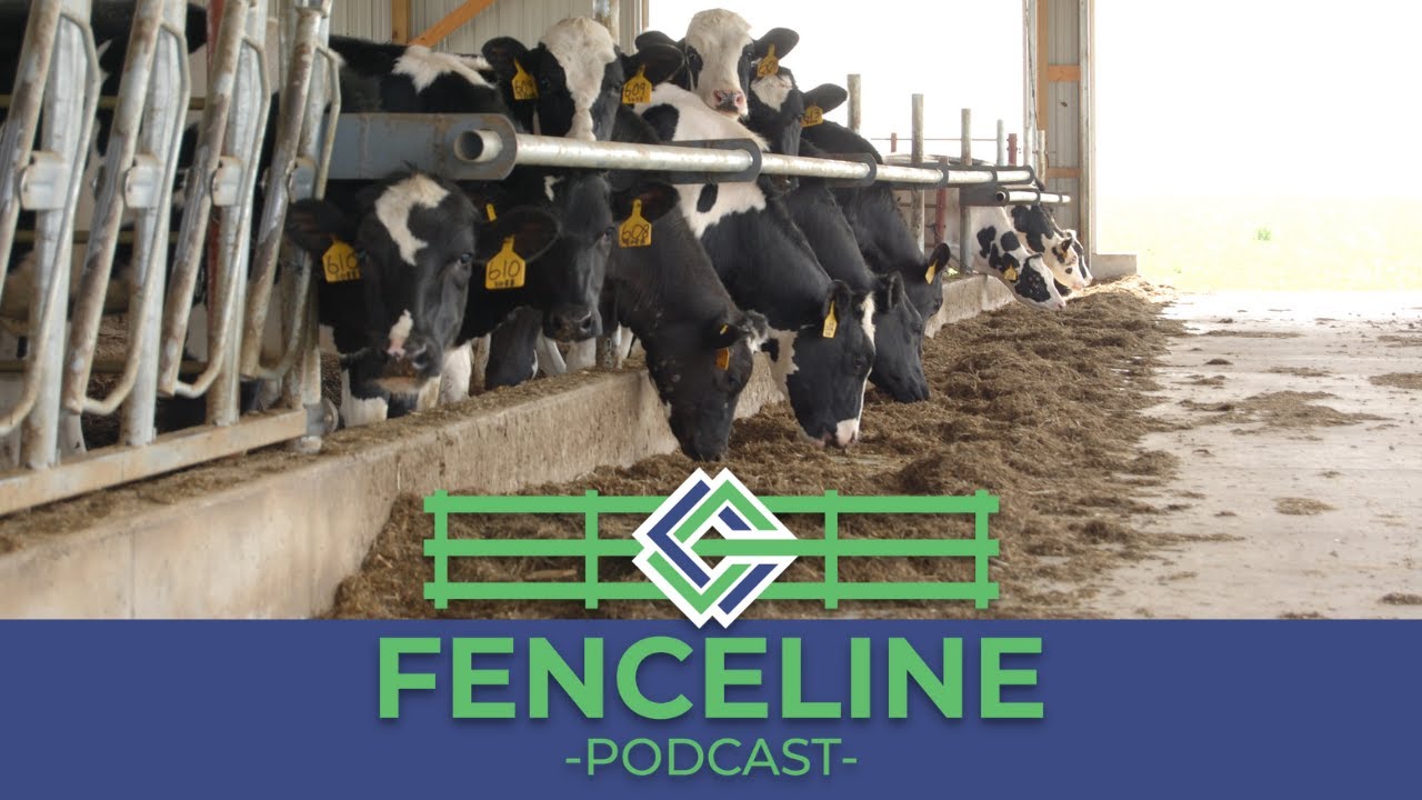 State of Iowa's Dairy Industry