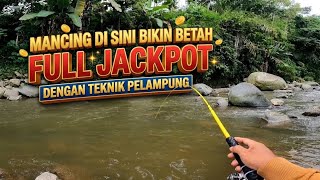 FULL JACKPOT ‼️ Micro fishing for uceng in Wonosobo river using a float technique