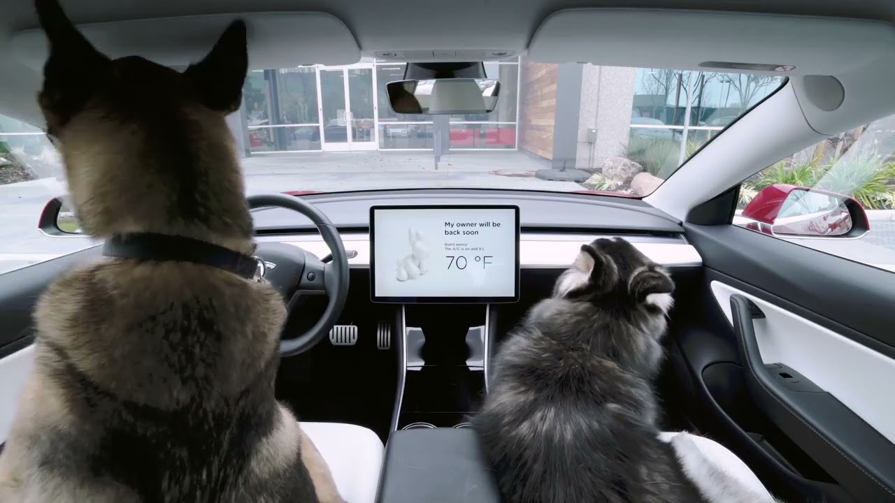 Tesla is introducing dog mode 2022
