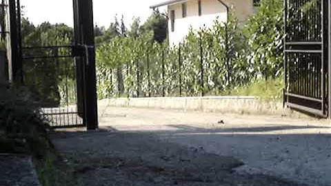 Hpi Savage Flux First Test Lipo 2S 7.4V 5000mah #3