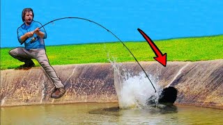 This Is Why You Should Fish A City Ditch! (Ultimate HONEY HOLE)
