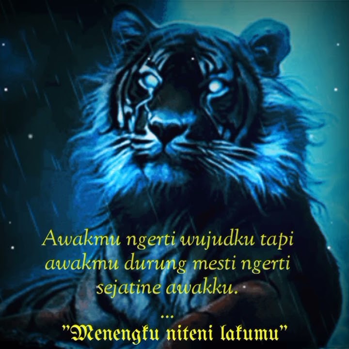 Story wa macan