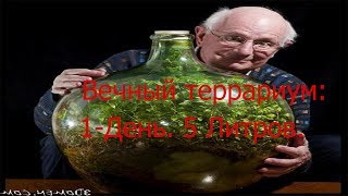 Вечный террариум. 1-День. 3-Литра.