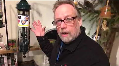 How to Keep Nuisance Birds Away from your Bird Feeders