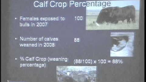Optimizing Reproductive Performance - Sandy Johnson, NW Area Livestock Specialist
