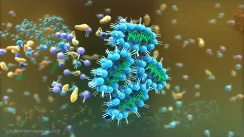 Precision NanoSystems