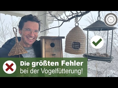 Video: Benutzen Vögel im Winter Vogelhäuschen?