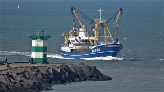 Od-17 En Sch-63 Inkomend & Vangst Lossen. Scheveningen 5-4-2019