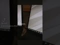 This Portable Monitor Changed How I Work From Home   https://amzn.to/4eWydhh #money  #viralvideo
