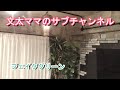 文太ママのサブチャンネル フェイクグリーン