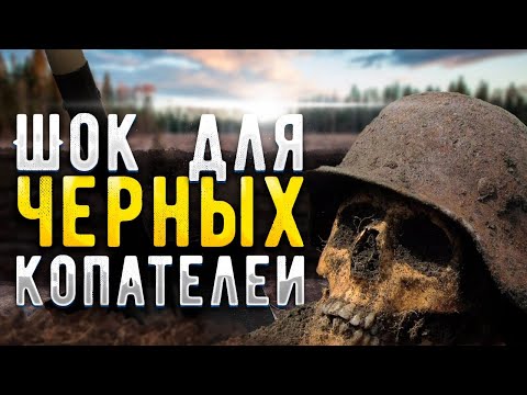 Проклятие Демянского котла: почему черные копатели боятся этого места
