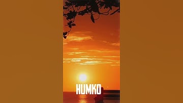 Thumbnail of Liggi Ritviz song WhatsApp status | New Song Status | Romantic Status | Status 4U |