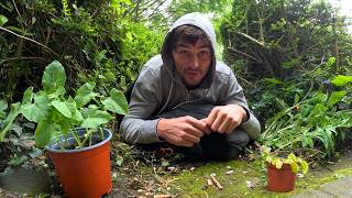 Vagabonding across Europe with no money for a month - Day 6 @Kerr.Rawden