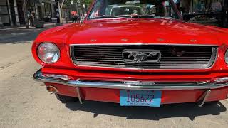 Ford Mustang Cars On State by Dynamic Listings 61 views 11 months ago 55 seconds