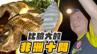 釣魚系列超好吃的非洲十間、石蚌斧頭錢神還原阿嬤的古早味