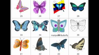 Clipart - Butterflies