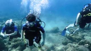 Try Scuba 09 10