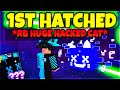 🥳 GOT 1ST HATCHED *RAINBOW HUGE HACKED CAT* SECRET In Pet Simulator X!