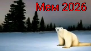 Белый медведь 2026|Обращение|Мем из 2026 года