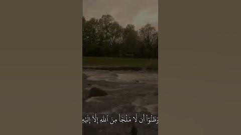 {حَتَّىٰ إِذَا ضَاقَتْ عَلَيْهِمُ الْأَرْضُ بِمَا رَحُبَتْ} القارئ شادي هاني سورة التوبة