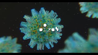 Björk - Virus (Audiovisual)