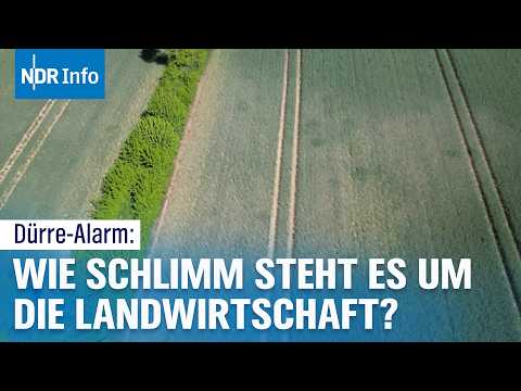 Schwere Dürre - Alarmstufe Rot in der Landwirtschaft | NDR Info