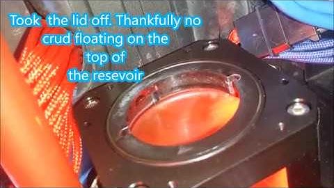 Primochill Vue Week 6 update