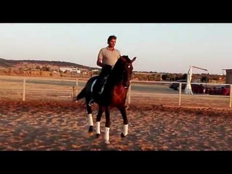 Rotego Ranch S ARRULHO De LYW