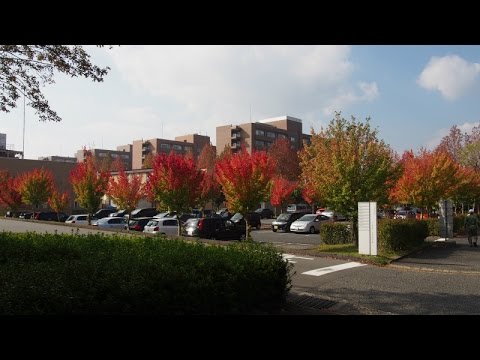 広島大学キャンパス散策コース - YouTube