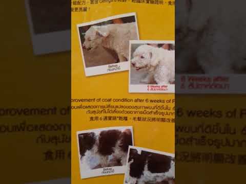 อาหารสุนัขเพดดีกรีไก่&ตับไซร่10กิโลสำหรับสุนัขโต1ปีขึ้นไป