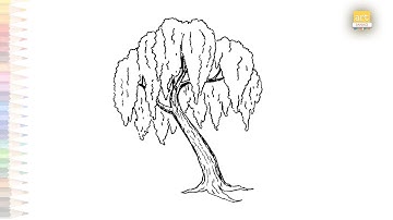 Willow tree drawing video | Weeping willow tree drawing | How to draw Willow tree step by step