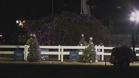 National Christmas Tree lighting ceremony underway after crane rescue
