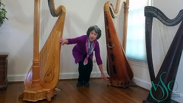 VSO Music Learning Lab – Virtual Petting Zoo: Harp