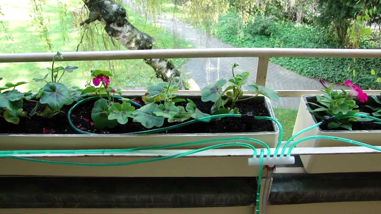 system nawadniania kwiatów na urlop YouTube