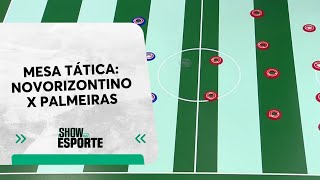 Mesa Tática: Elia Jr faz prévia de Novorizontino x Palmeiras