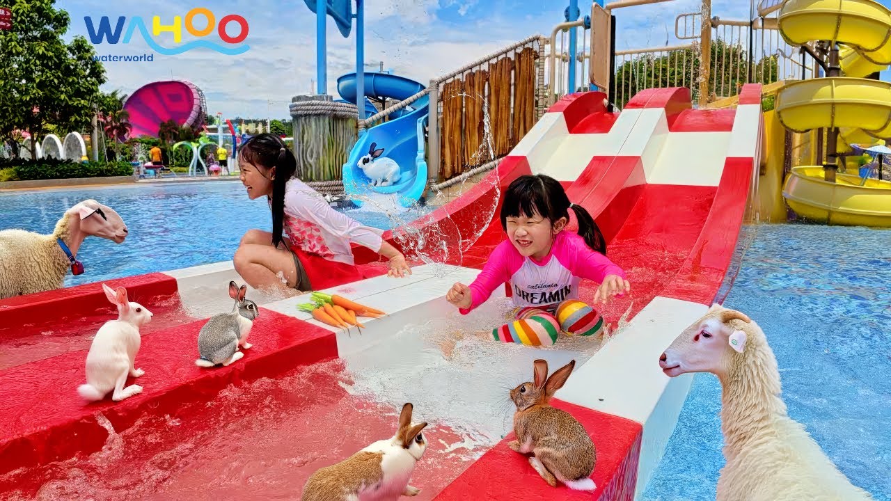 Main Perosotan Air, Kasih Makan Kelinci dan Domba - Playground Waterpark