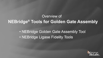 NEBridge® Tools for Golden Gate Assembly