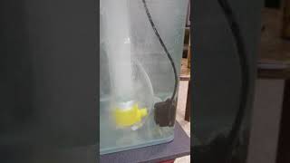 旋回式_小型プロテインスキマー（エアレーション兼用）