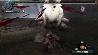 MHF ルーツ太刀ソロ2010052701
