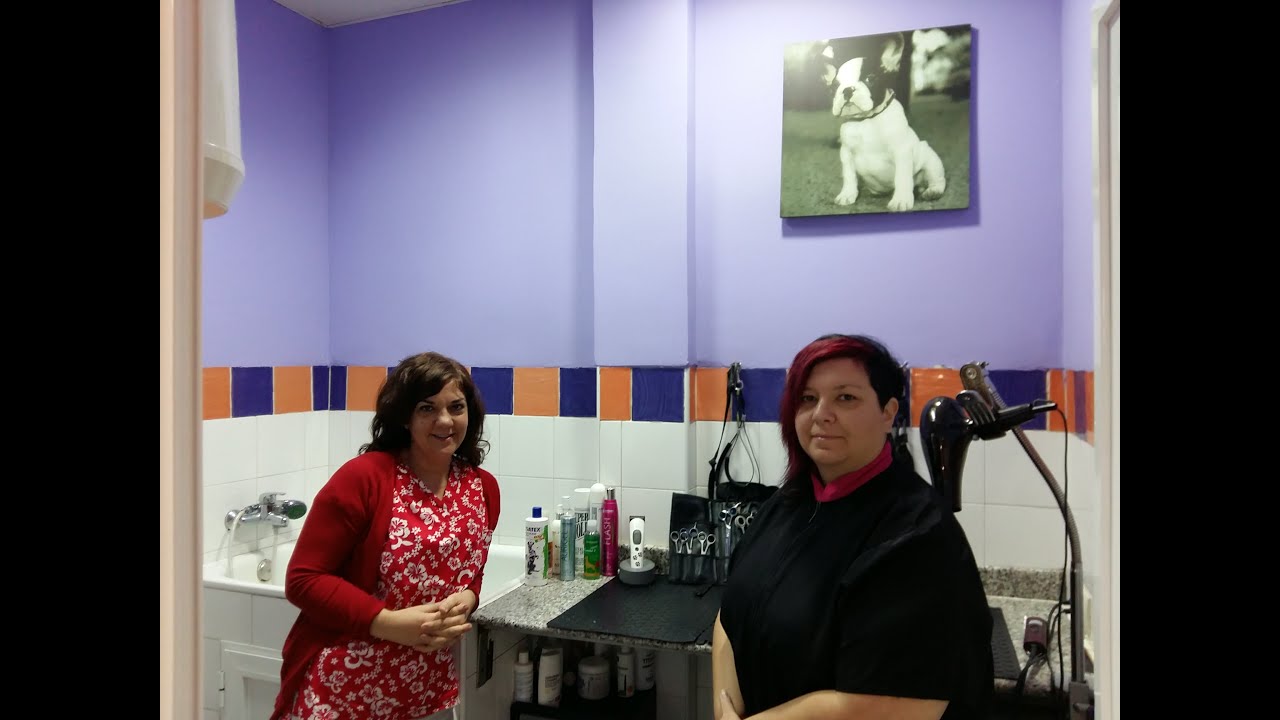 VIDEOVET_4_COCO VA A LA PELUQUERIA