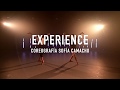 EXPERIENCE - Ludovico Einaudi  |  SOFÍA CAMACHO