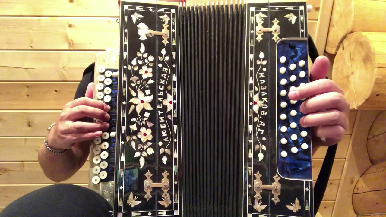 гармонь барыня. гармонь сизова. барыня на гармошке. на. цыгане с гармошкой.