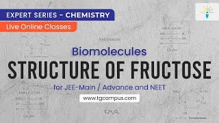 Structure of Fructose | Biomolecules | JEE | NEET | Chemistry - TG Campus